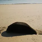 Σπίτι διακοπών Au Petit Maltot