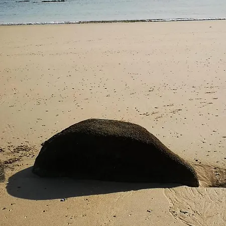 Vakantiehuis Au Petit Maltot