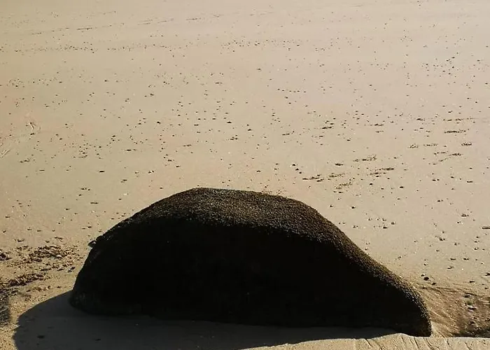 Сasa de vacaciones Au Petit Maltot